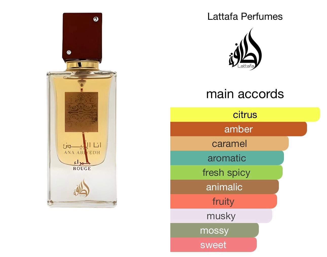 Lattafa Arab Perfumes