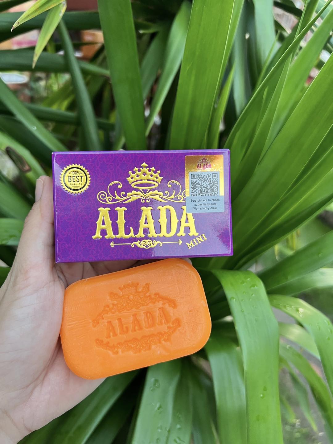 Alada Soap